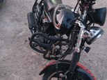 Freedom MX 49-1