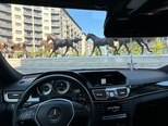 Mercedes E 220-9