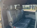 Mercedes Viano-13