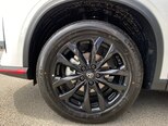 Changan Oshan X5 Plus-4