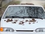 LADA (VAZ) 2114-5