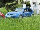 Volkswagen Golf-7