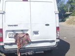 Ford Transit-3