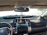 Toyota Prius-6