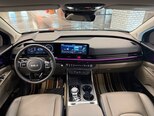 Kia Carnival-19