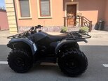 Yamaha Grizzly 450-7