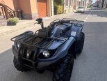 Yamaha Grizzly 450-1
