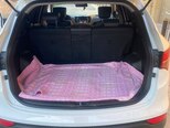 Hyundai Santa Fe-10
