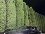 BMW 530-7