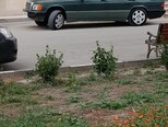 Mercedes 190-8