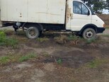 GAZ GAZel (330200)-4
