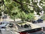 Hyundai Elantra-5