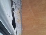 Ford Transit-6