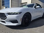 Ford Mustang-6