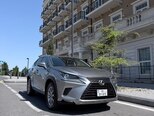 Lexus NX 300-1