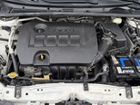 Toyota Corolla-6