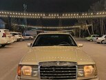 Mercedes 250 D-1