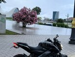 Bajaj Pulsar NS 200-1