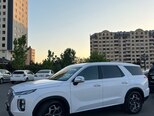 Hyundai Palisade-3