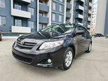 Toyota Corolla-6
