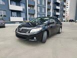 Toyota Corolla-4
