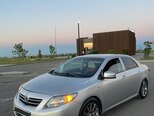 Toyota Corolla-5