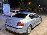 Peugeot 407-6