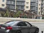 BMW 330-6