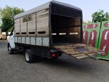 GAZ GAZel (3302-744)-12