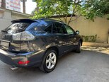 Lexus RX 330-2