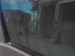 Renault Scenic-5