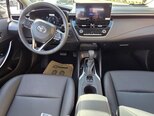Toyota Corolla-6