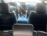 Toyota Land Cruiser Prado-6