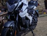Bajaj Pulsar NS 160-8