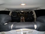 Lexus RX 350-15