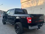 Ford F-150-12