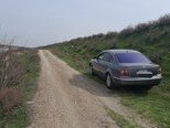 Volkswagen Passat-10