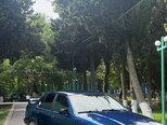 BMW 316-2