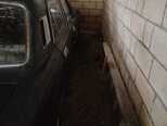 GAZ 24 "Volga"-5