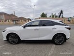 Lexus RX 350h-19