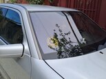 Mercedes C 240-12