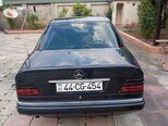 Mercedes 250 D-10