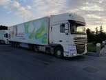 DAF 105 XF-6