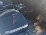 Nissan Note-7