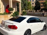 Volkswagen Passat-4