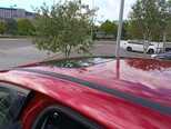 Ford Focus-4