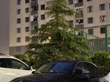 BMW 320-2