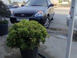 LADA (VAZ) Priora-5