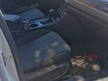 Volkswagen Jetta-6