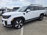 Hyundai Santa Fe-14